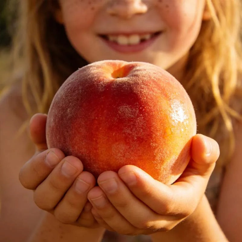 🔥 65K+ SOLD! 🍑 Rosylume "Honey Red" Dwarf Peach Tree Live Seeds